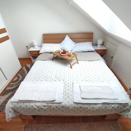Apartman Ns Dan Private Parking Νόβι Σαντ Εξωτερικό φωτογραφία