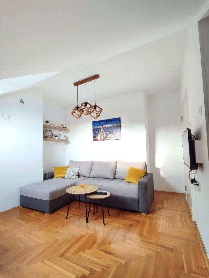 Apartman Ns Dan Private Parking Νόβι Σαντ Εξωτερικό φωτογραφία