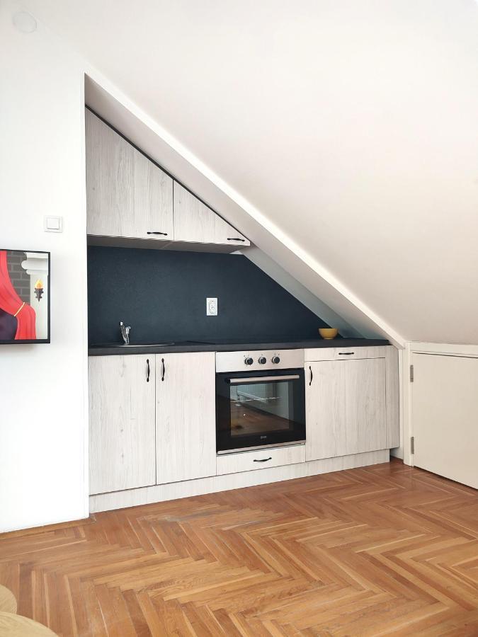 Apartman Ns Dan Private Parking Νόβι Σαντ Εξωτερικό φωτογραφία