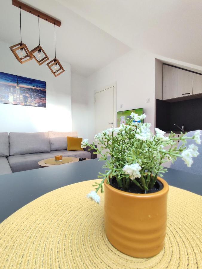 Apartman Ns Dan Private Parking Νόβι Σαντ Εξωτερικό φωτογραφία