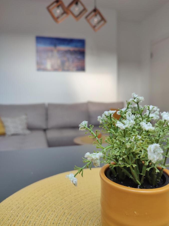 Apartman Ns Dan Private Parking Νόβι Σαντ Εξωτερικό φωτογραφία
